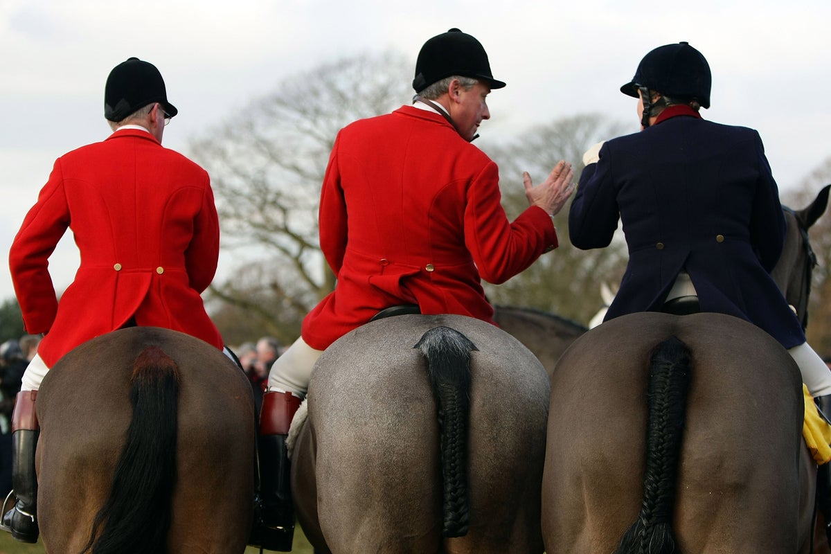 Labour MP pressures government to ban foxhunting for good with private member’s bill