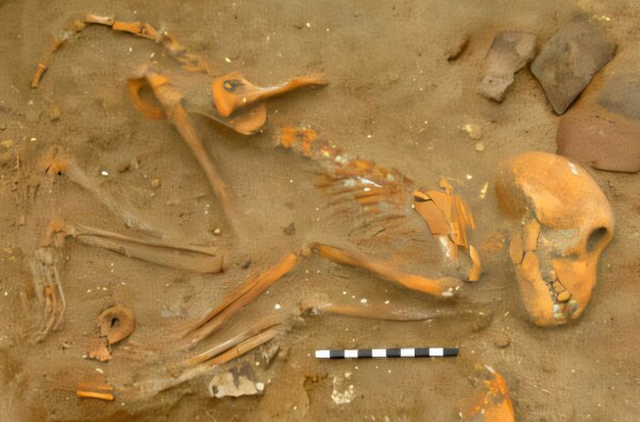 <p>Monkey burial from the Berenike pet cemetery</p>