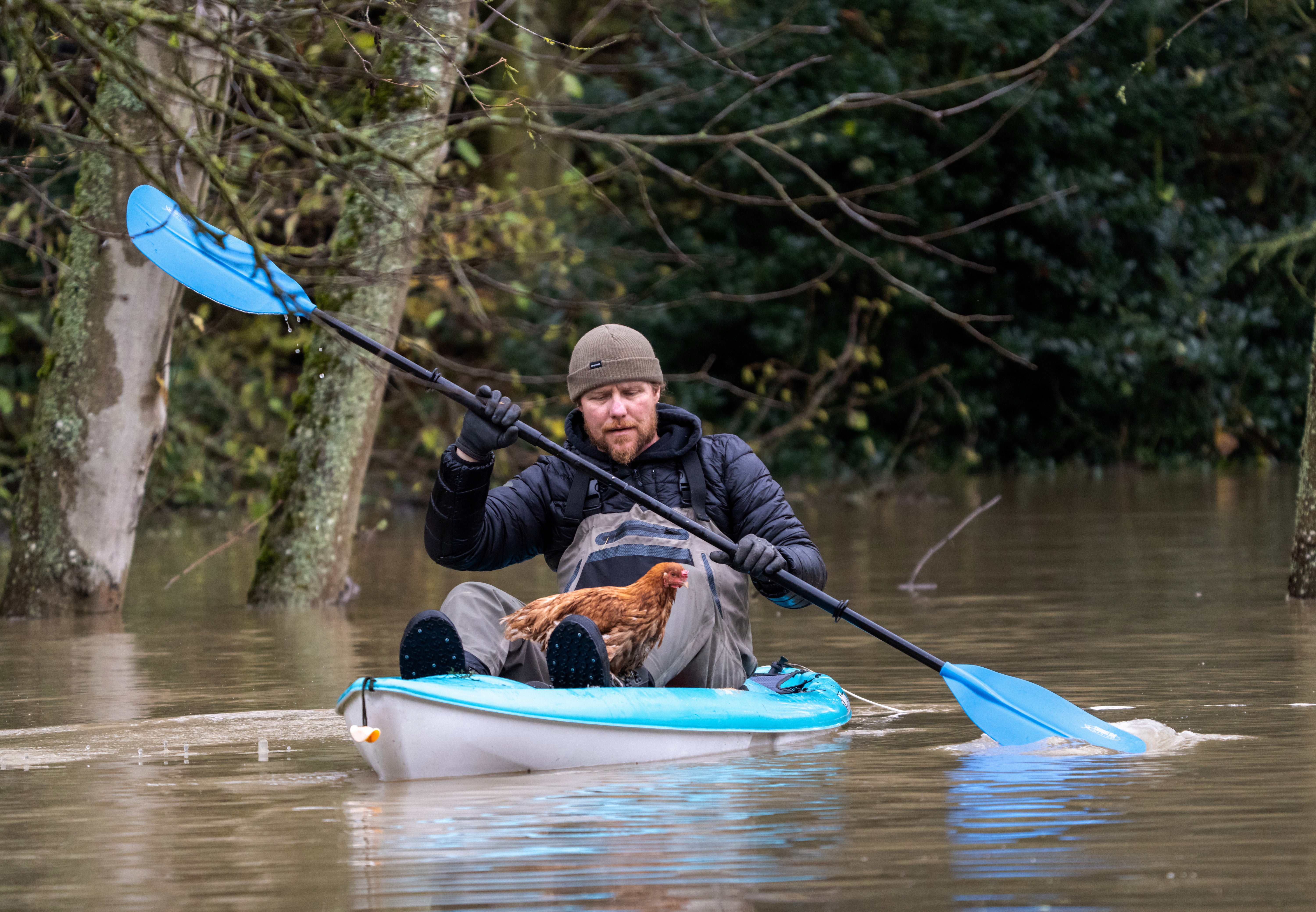 Western Washington Flooding