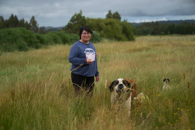 Chile Election Sidelined Conflict