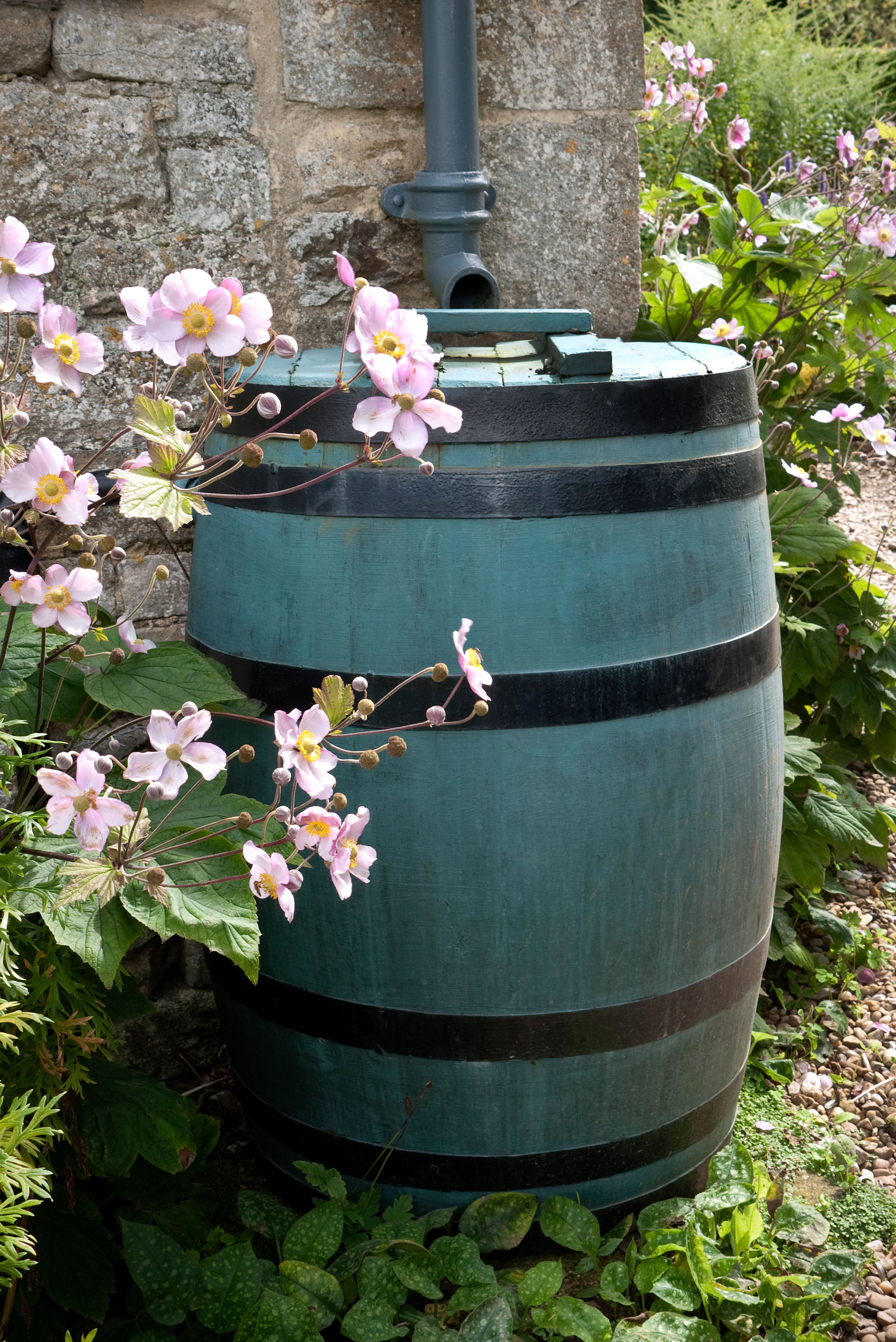 Um barril de água tradicional. A IA provavelmente revolucionará o armazenamento de água nos próximos anos