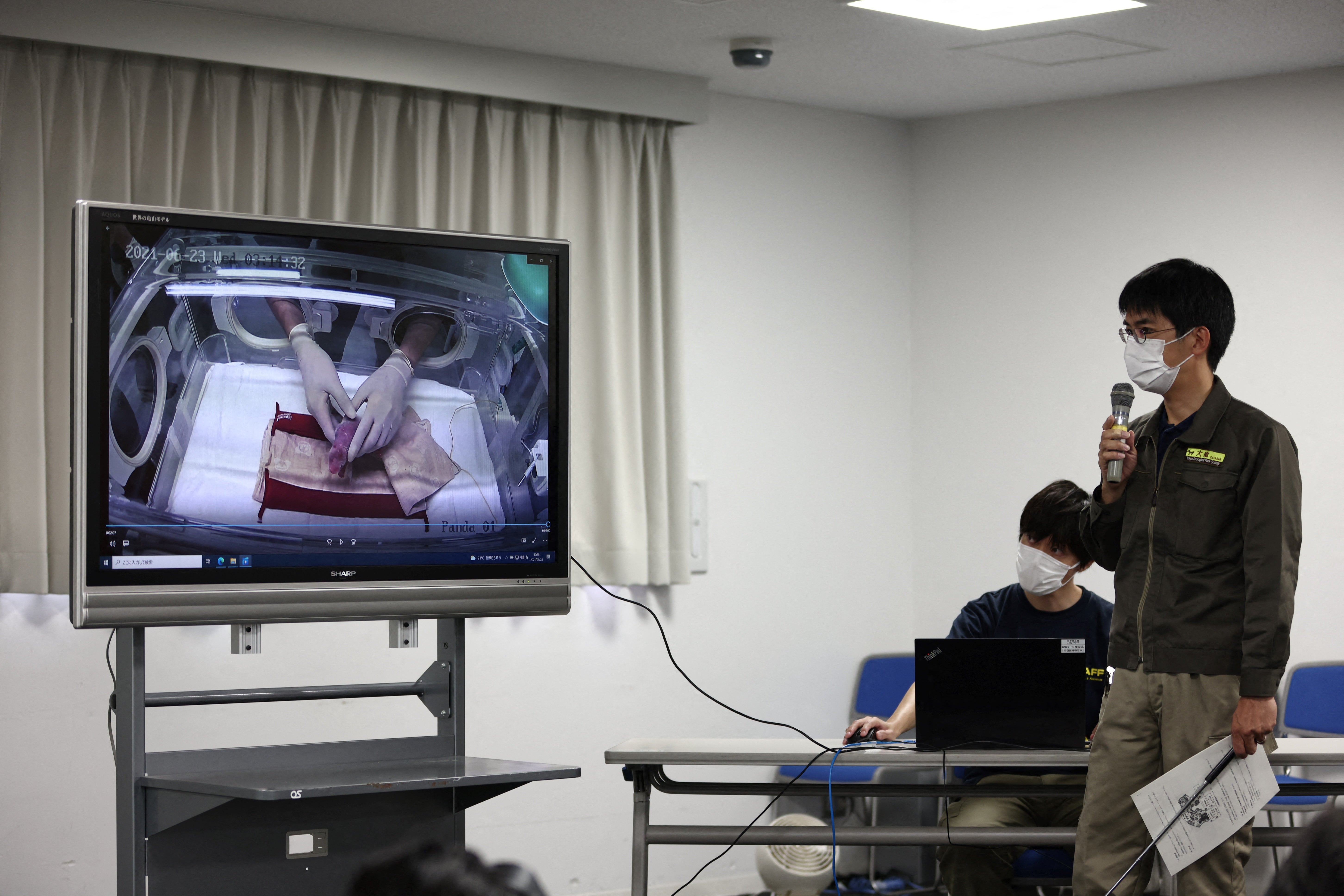 Staff show an image of the first of two cubs delivered by panda Shin Shin at Tokyo's Ueno Zoo on 23 June 2021