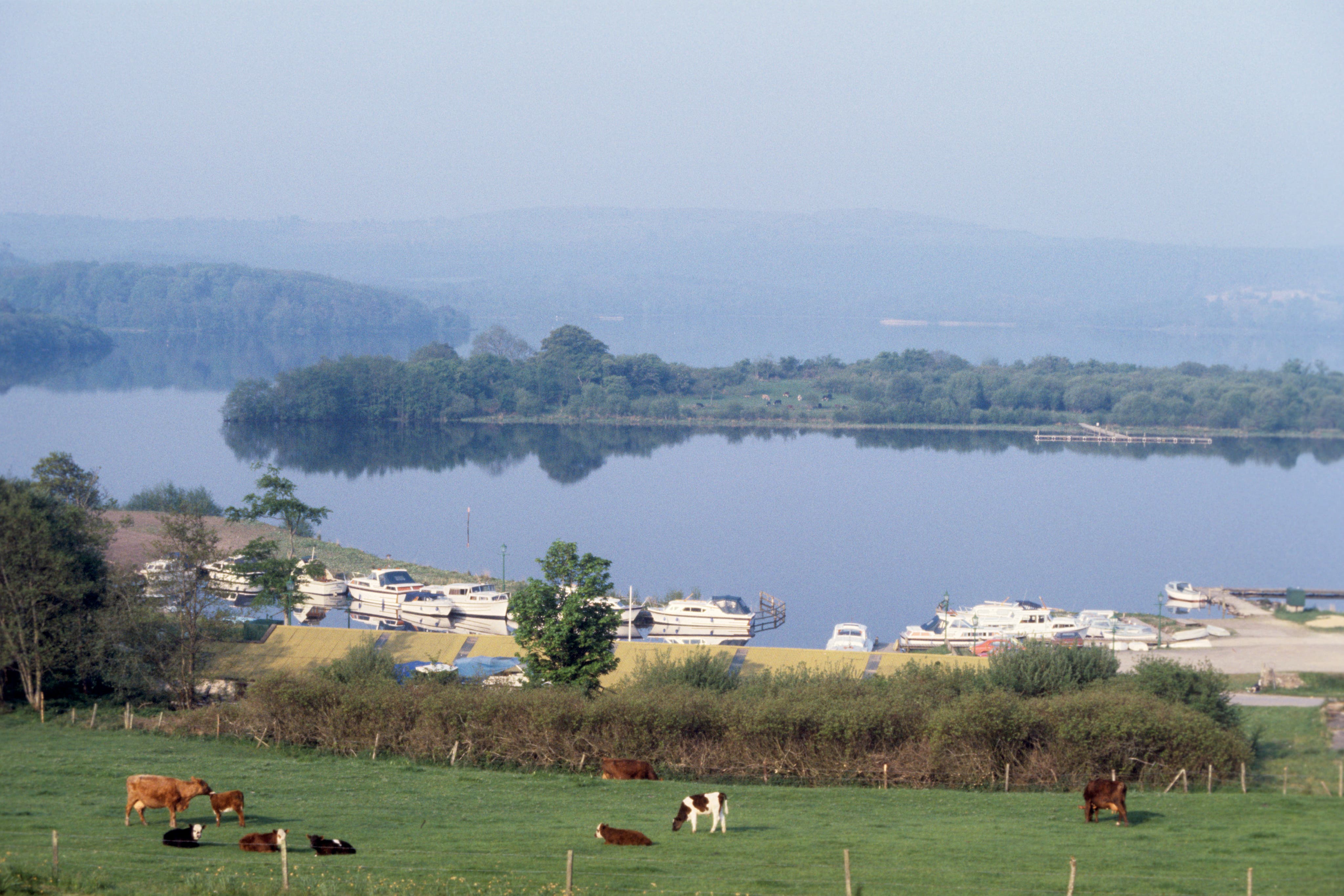 The quagga mussel has been discovered at Lower Lough Erne in Co Fermanagh (PA)