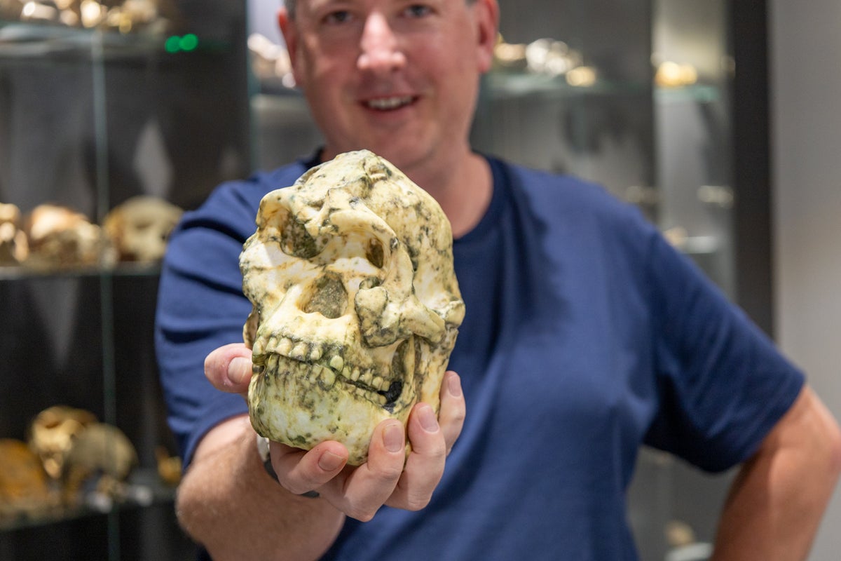 Iconic ‘Little Foot’ may very well be new human species, scientists say Iconic ‘Little Foot’ may very well be new human species, scientists say