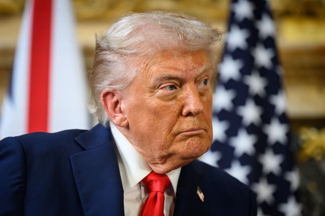 <p>Donald Trump may reclassify cannabis, recently saying his government is ‘looking at that very strongly’</p>