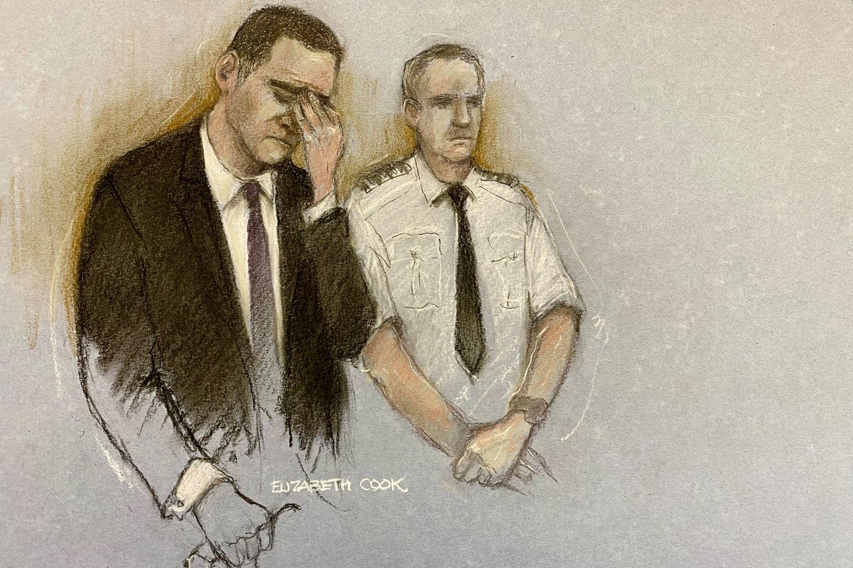 Tears, hurt and hope: Inside the emotional sentencing of Liverpool parade attacker Paul Doyle