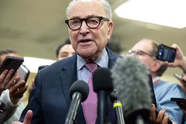 <p>Senate Minority Leader Chuck Schumer is facing another shutdown fight after emerging bruised from the last one, without claiming victory</p>