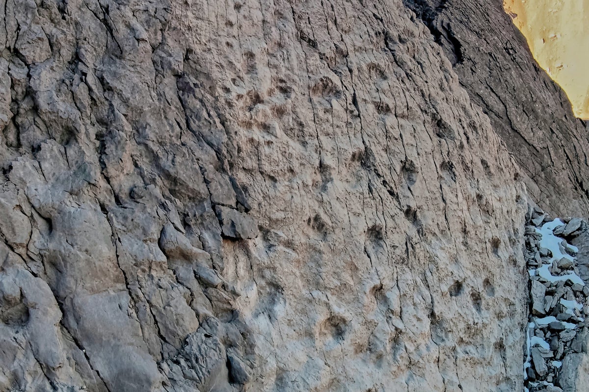 A photographer finds thousands of dinosaur footprints near Italian Winter Olympic venue