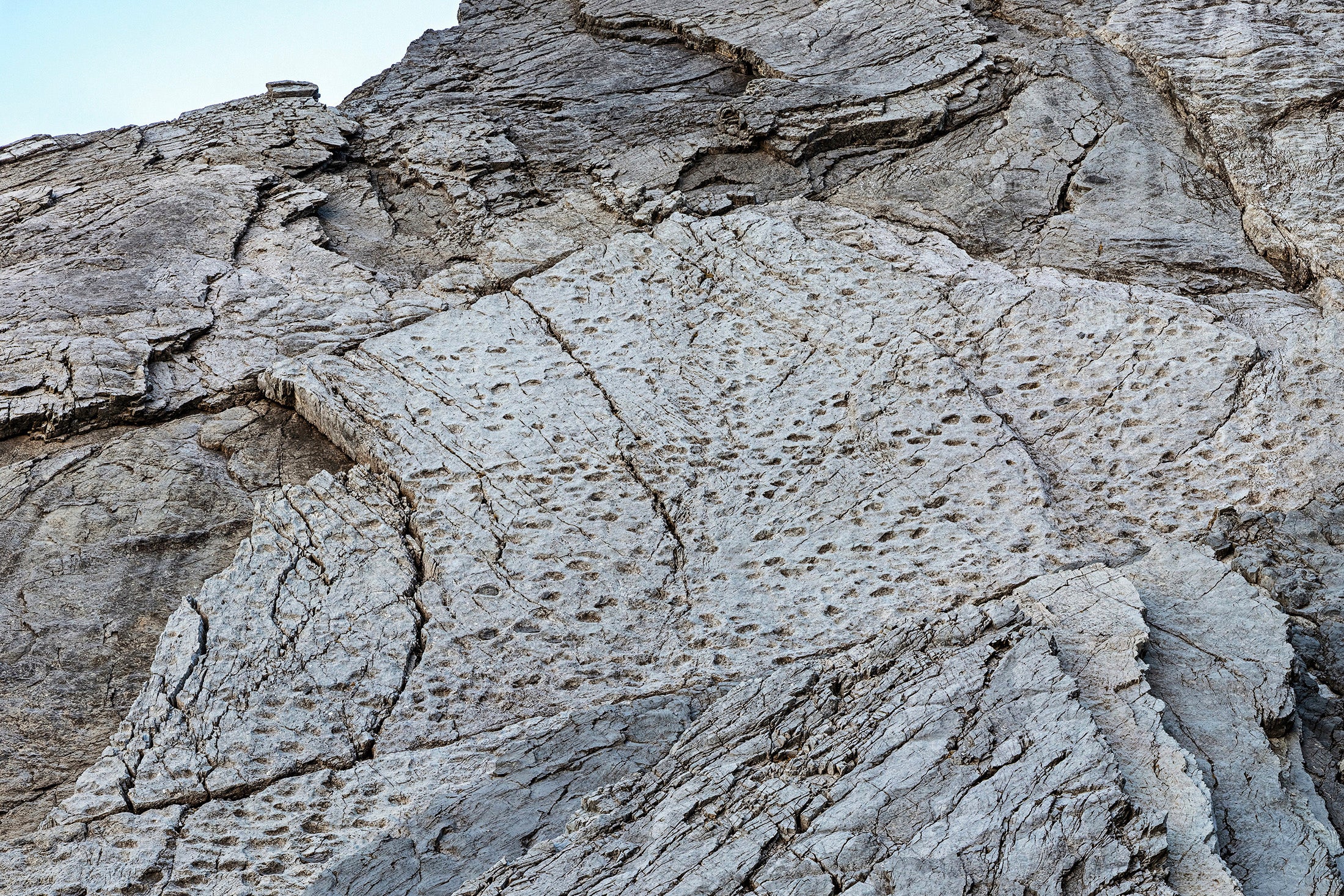 Late Triassic prosauropod footprints are seen on the slopes of the Fraeel Valley in northern Italy.