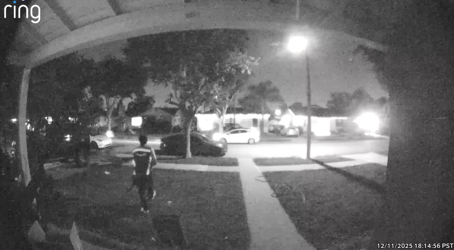 <p>A California pet owner has put out a desperate plea for help after an Amazon driver was caught on video taking her pet cat from her yard after delivering a package </p>