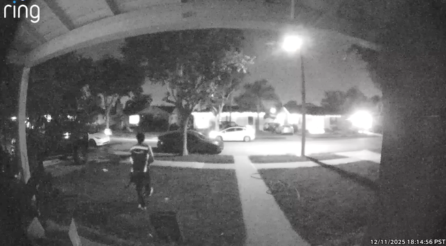 <p>A California pet owner has put out a desperate plea for help after an Amazon driver was caught on video taking her pet cat from her yard after delivering a package </p>