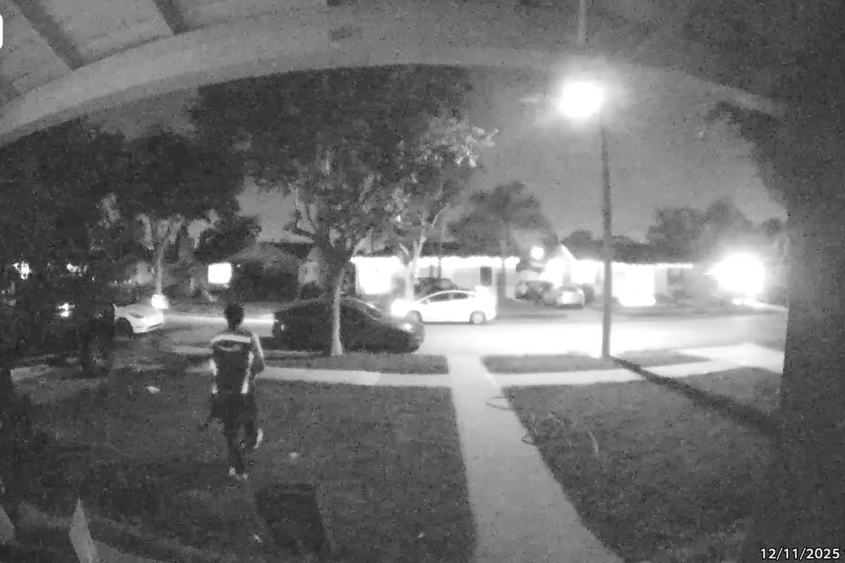 Desperate search launched for cat allegedly stolen from Californian home by Amazon driver Desperate search launched for cat allegedly stolen from Californian home by Amazon driver