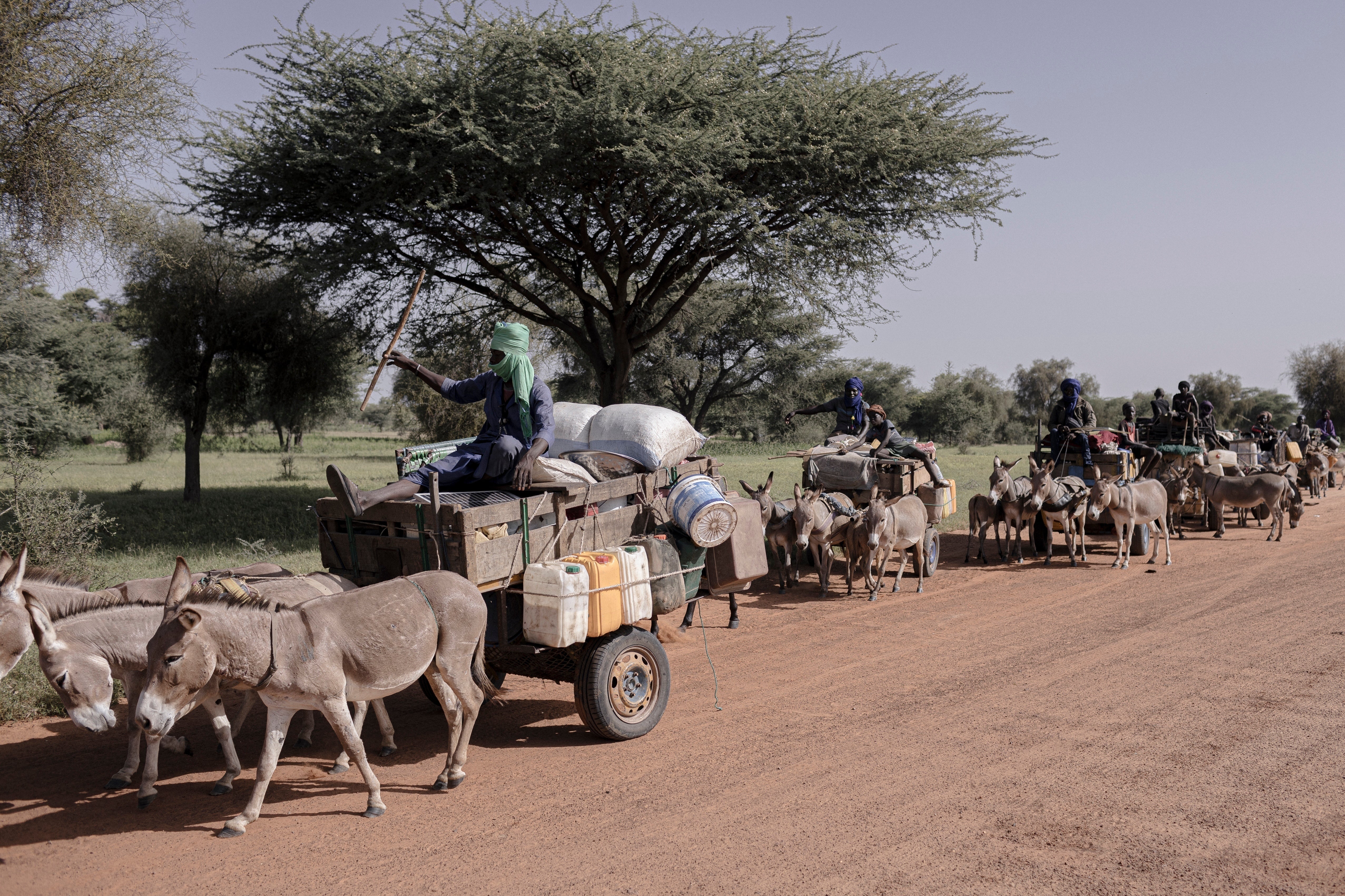 Climate Herders and Farmers