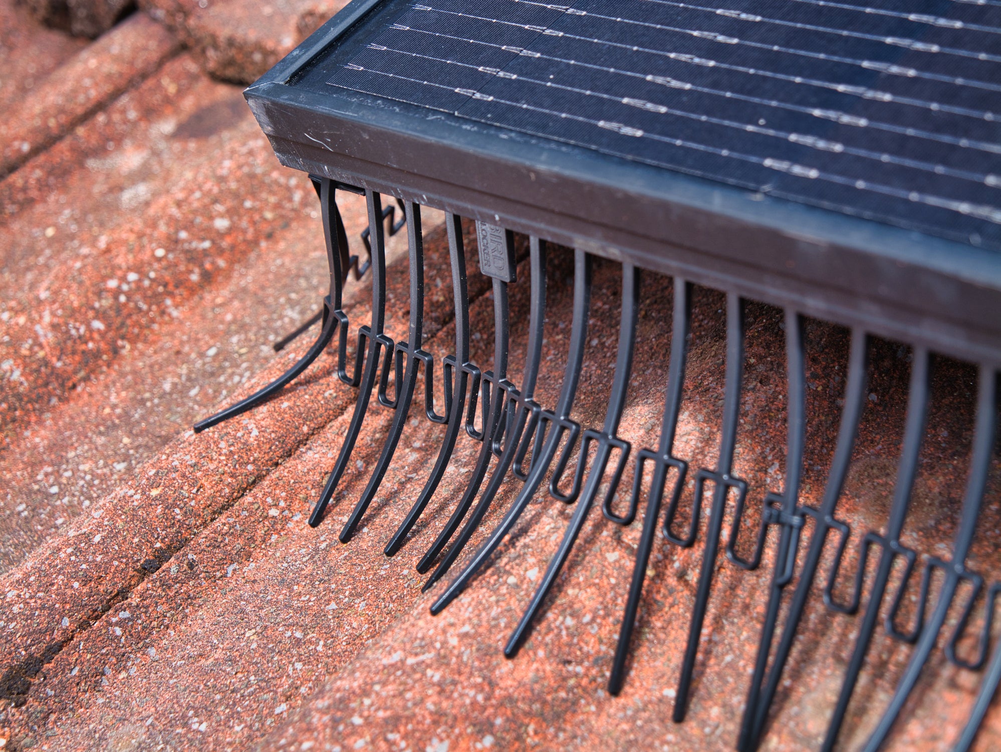 Quality mesh bird-proofing systems can last up to 10 years