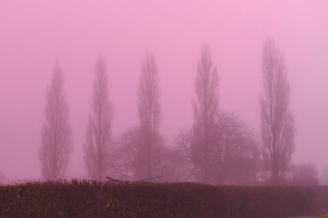 <p>Seasonal pink fog descends on Oxford</p>