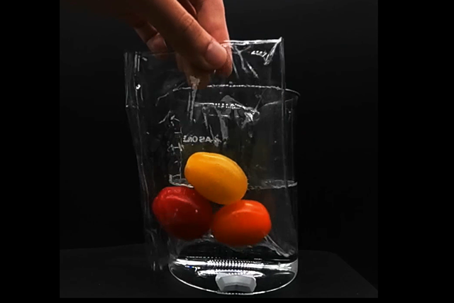 <p>A bag made from the new plant-based plastic dissolved in artificial seawater after a few hours</p>