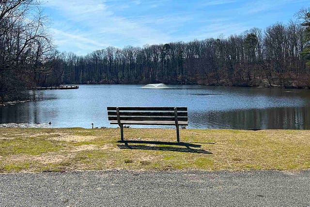 <p>Melinda Pereira suffered from a cardiac arrest in Echo Lake Park, where she was saved by a mysterious nurse</p>