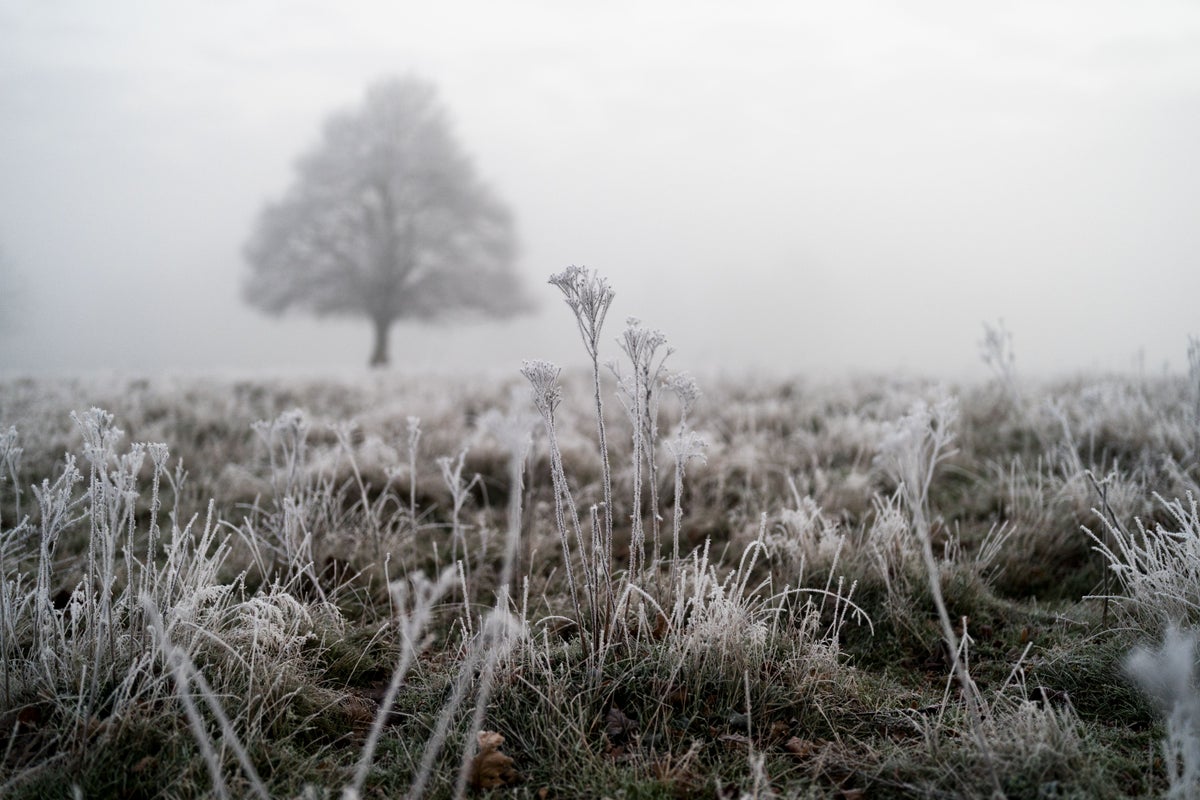 Chilly Arctic Air Mass Sends UK Temperatures Plunging 10°C Below Last Week's Highs — image 2