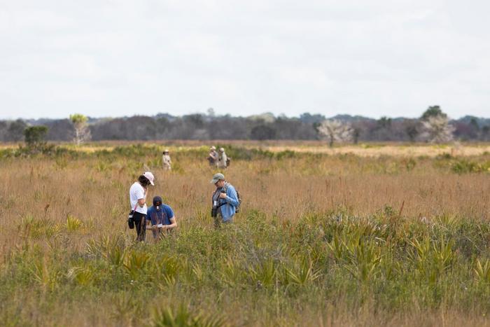 The researchers worked to trap mosquitoes at the DeLuca Preserve, a conservation habitat 80 miles south of Orlando