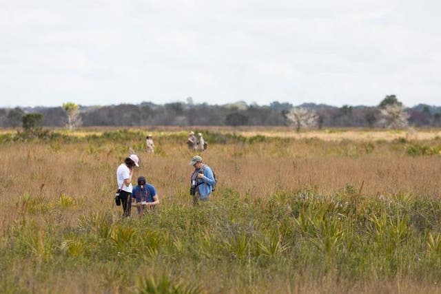 <p>The idea was not to bring back extinct species, but to capture a snapshot of all of the animals living in and around the university’s watery DeLuca Preserve. </p>