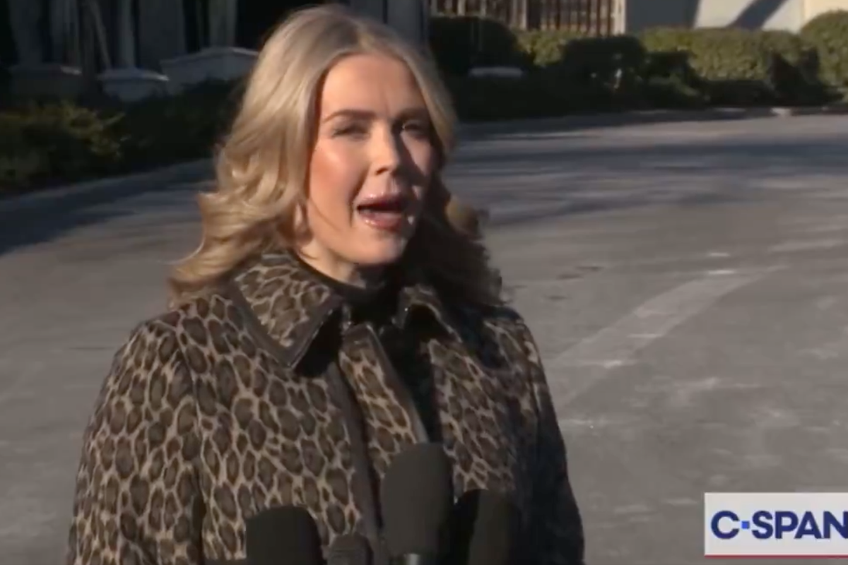 Karoline Leavitt calls out ‘disingenuous’ Vanity Fair article after Susie Wiles’ Trump interview