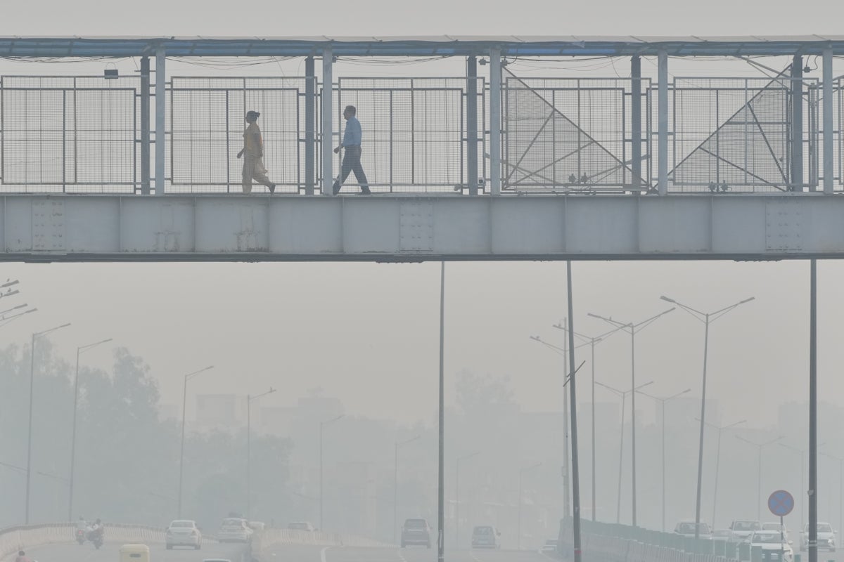 This is what air pollution does to the human body