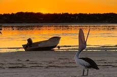 Australia’s hidden gem with exhilarating wildlife experiences and exquisite seafood