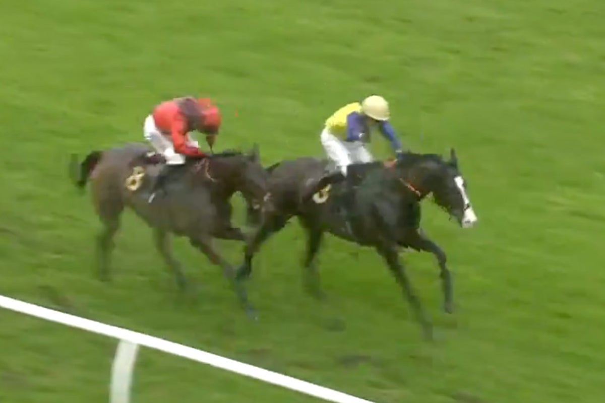 300/1 outsider creates UK horse racing history at Exeter – UK Times 300/1 outsider creates UK horse racing history at Exeter – UK Times