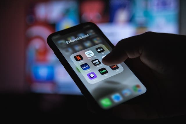 <p>Disney also noted this year saw it bring ABC News and ESPN into Disney+, creating a streaming destination for entertainment, news, and sports</p>