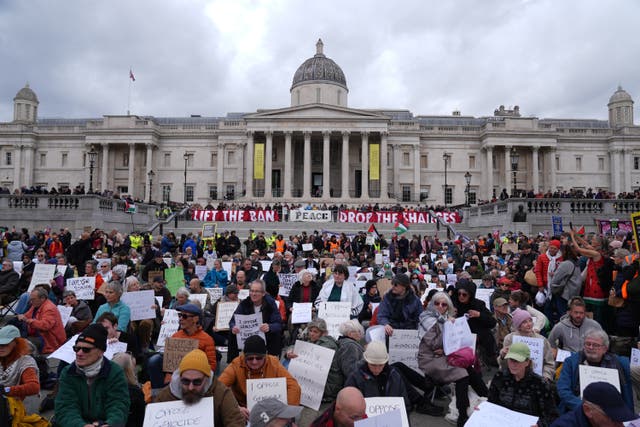 <p>Crowds support of Palestine Action in Trafalgar Square (Maja Smiejkowska/PA)</p>