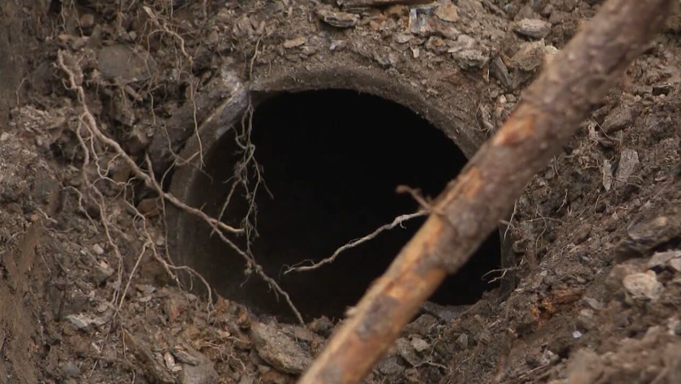 Nearly three years after she vanished, Ebby’s remains were discovered inside a drainage pipe in Chalamont Park, just feet from where her car had been found