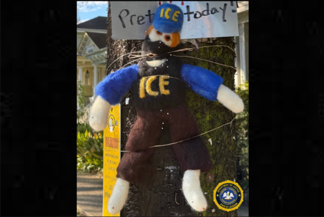 <p>An ICE agent 'voodoo doll' was found strapped to a tree in New Orleans, where a federal immigration operation has been underway</p>