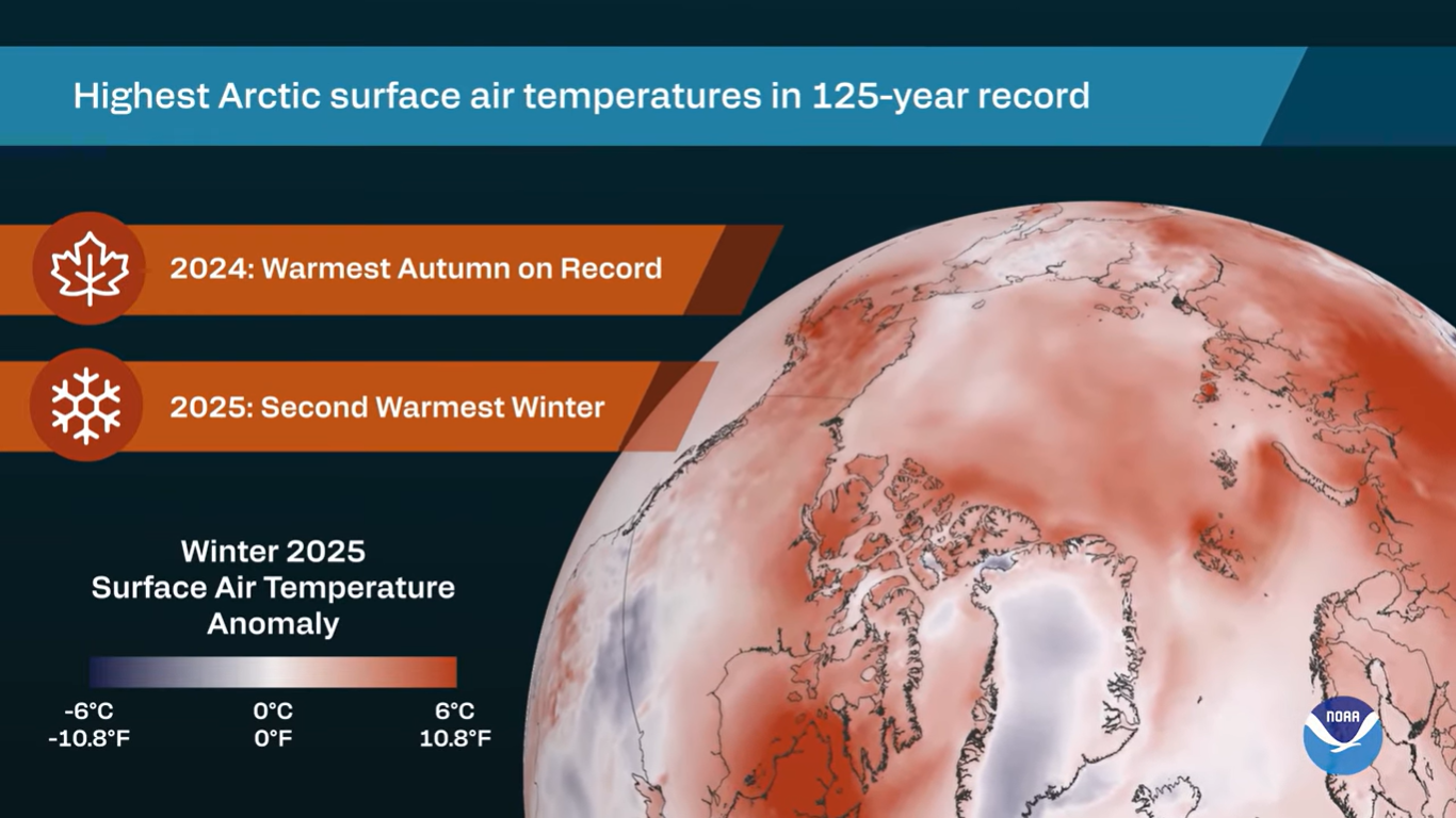Surface air temperatures across the Arctic between October 2024 and September 2025 were the warmest recorded since 1900