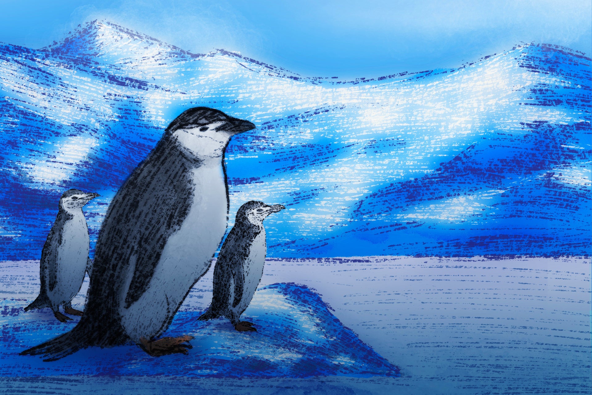 SCI--Extreme Animal Sleep