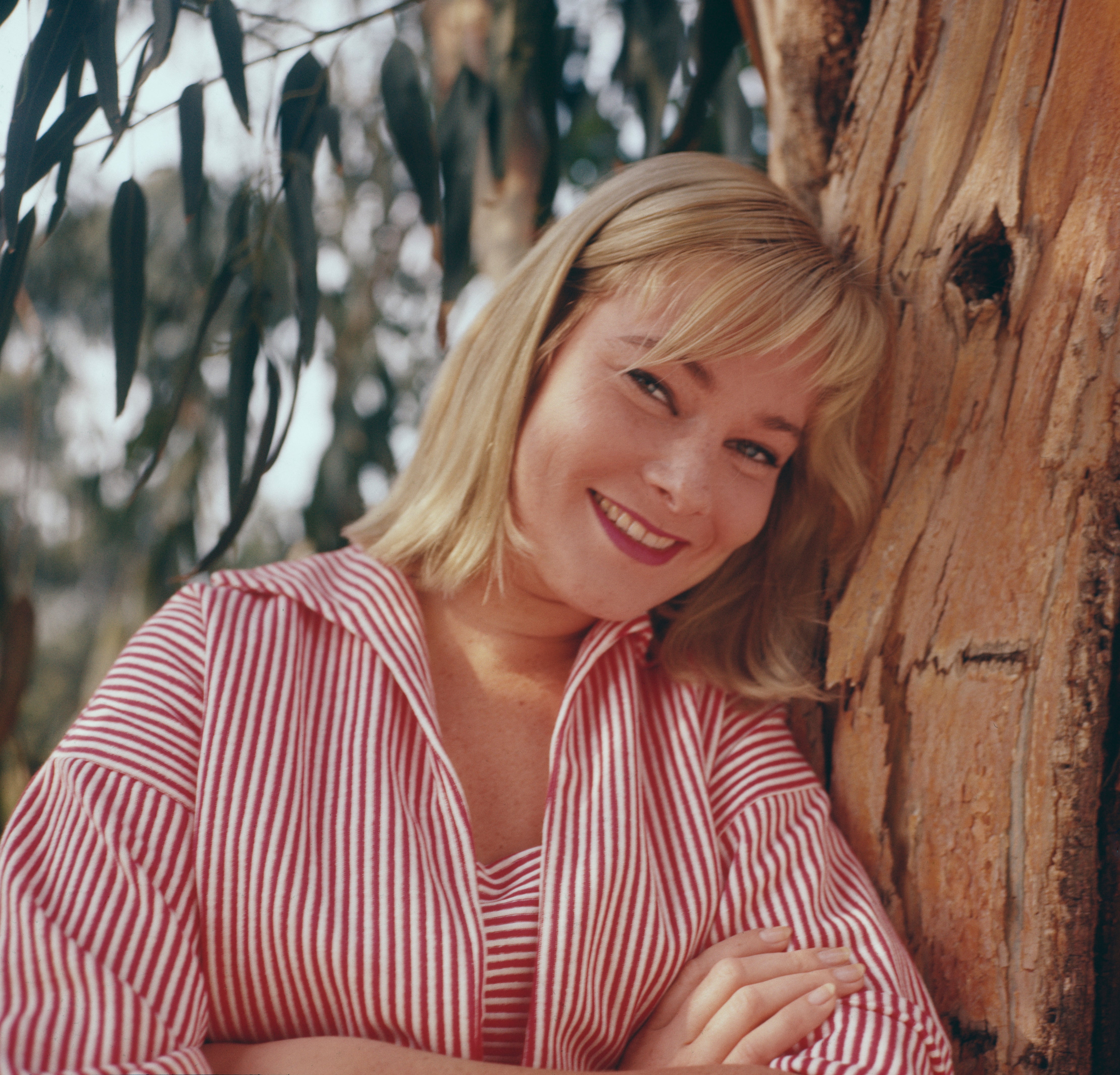 May Britt, pictured in 1960, was married to Sammy Davis Jr. from 1960 to 1968. She has died aged 91.