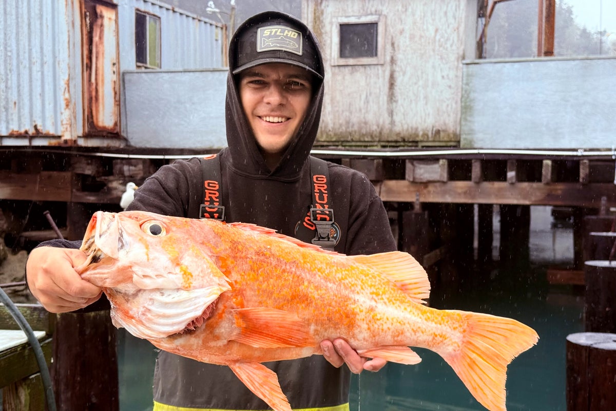 https://static.independent.co.uk/2025/12/19/21/California_Record_Rockfish_60946.jpg?width=1200&height=800&crop=1200:800
