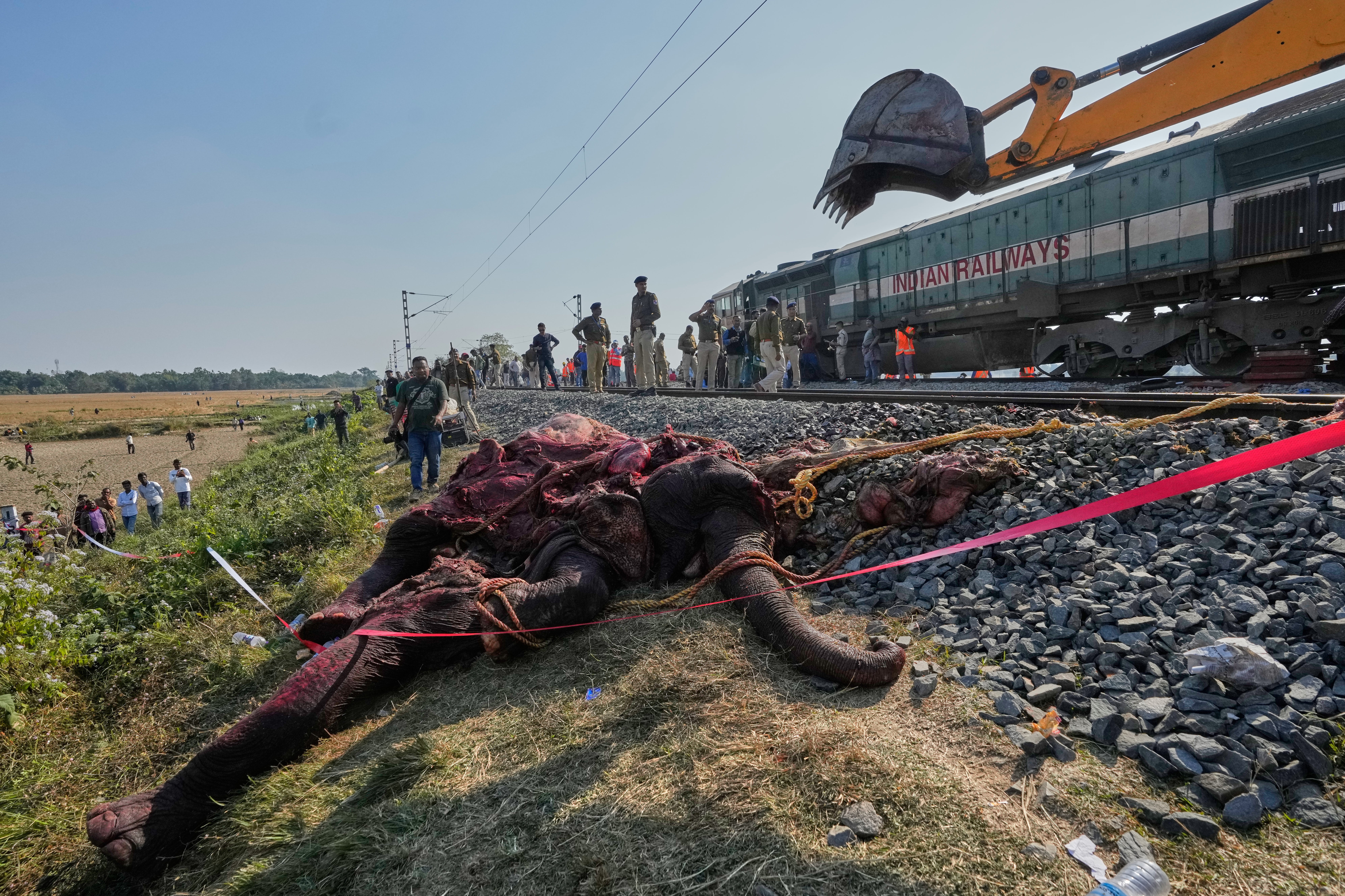 India Elephants Accident