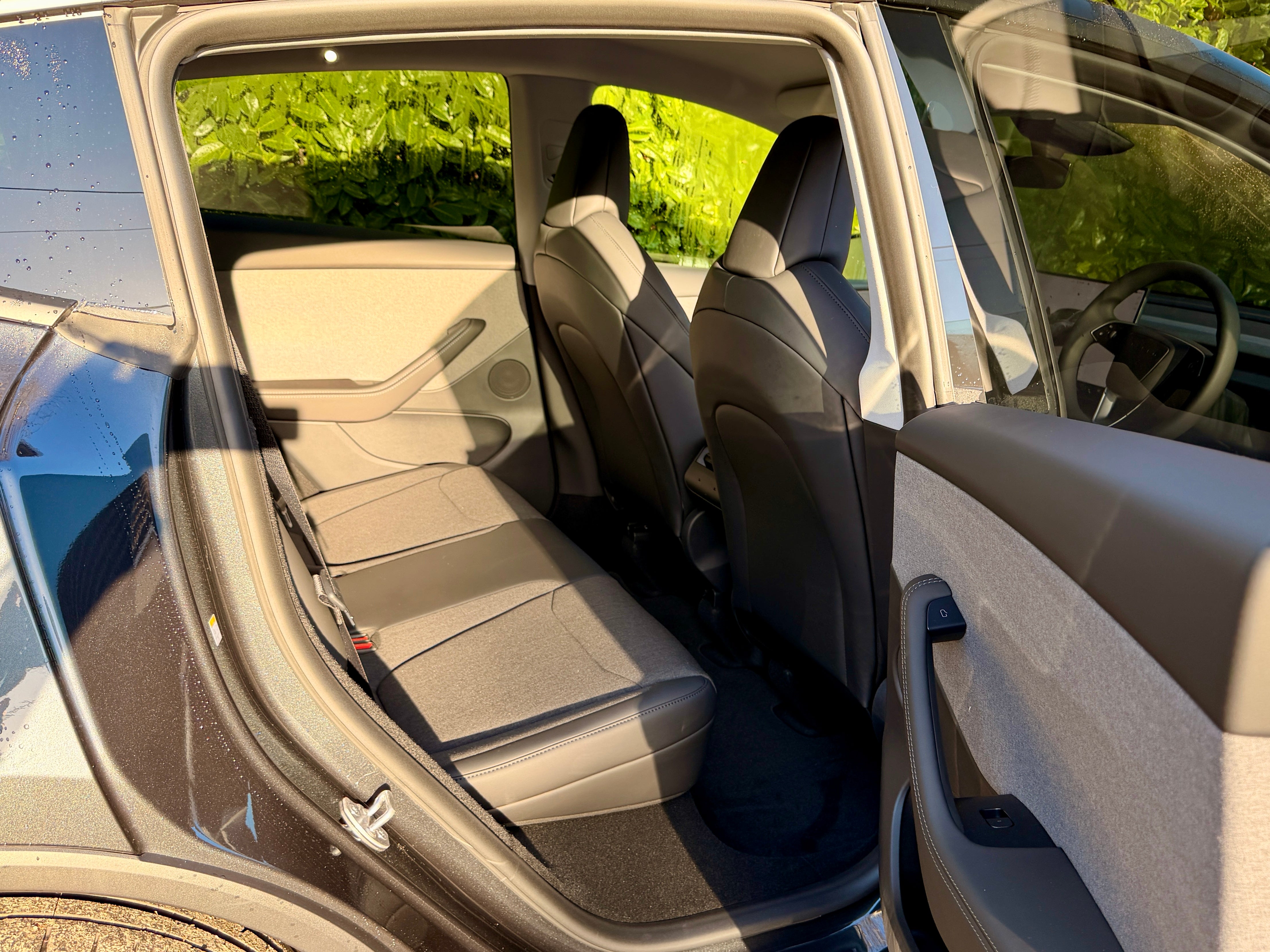 The Tesla Model Y Standard gets as much space in the back as any other Model Y and is just as comfortable