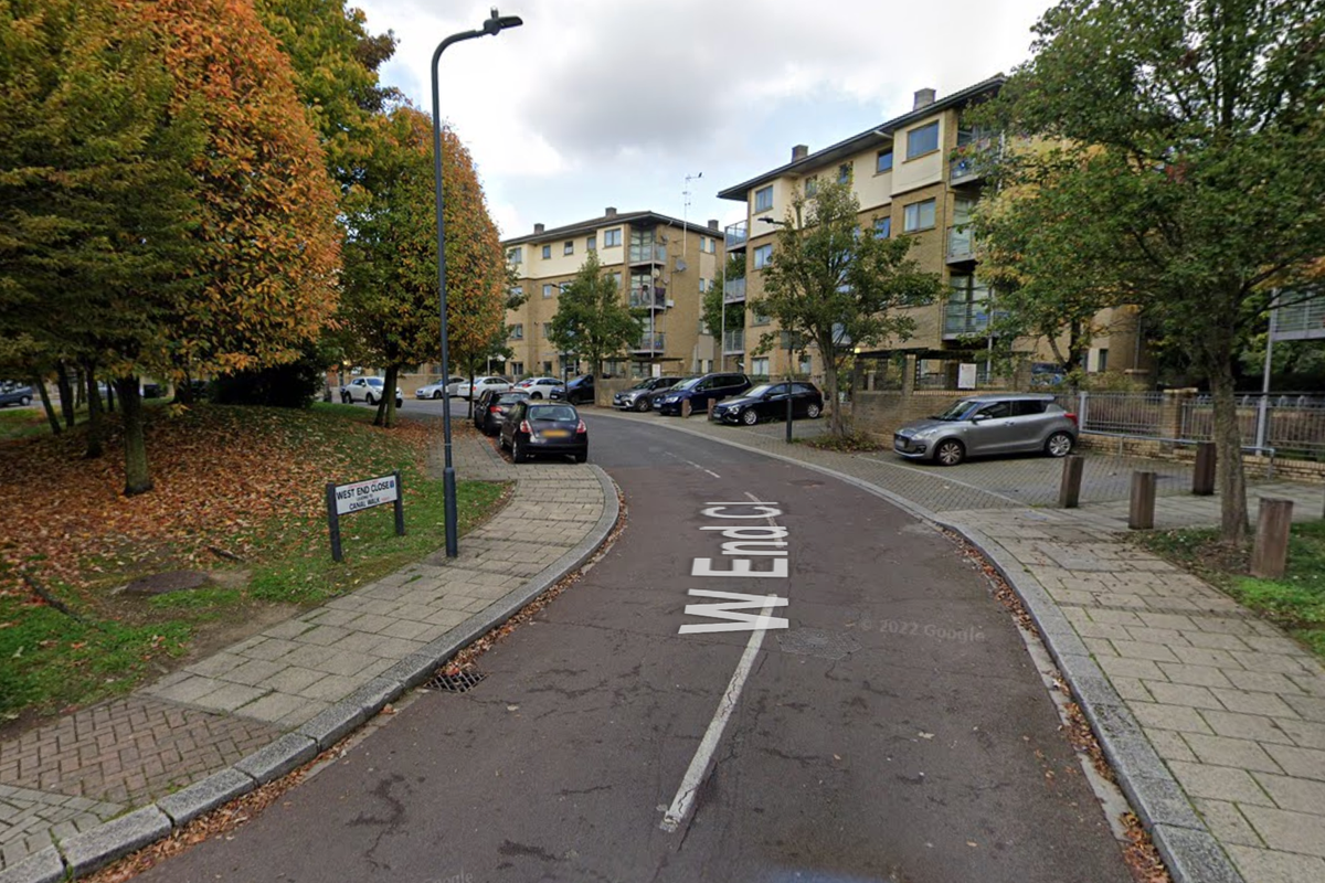 Murder investigation launched after man shot dead in north-west London