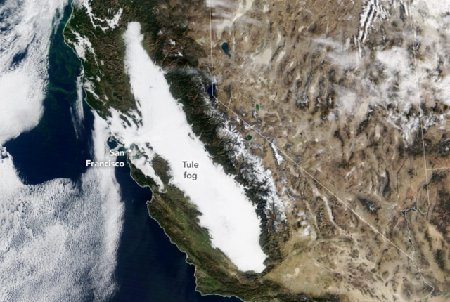 <p>Heavy fog has blanketed much of central California since November, though it is expected to lessen with late December rains</p>