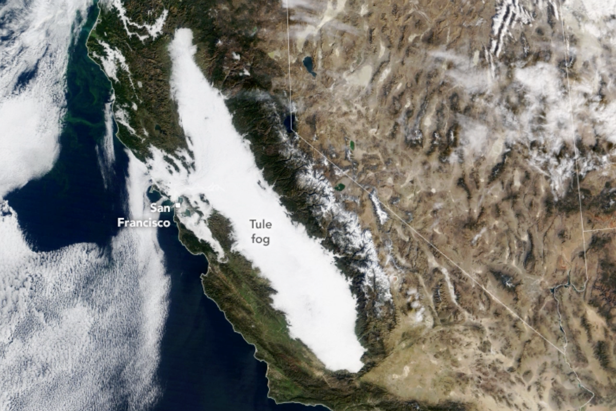 What is the mysterious ‘radiation’ fog blanketing California – and is it dangerous?