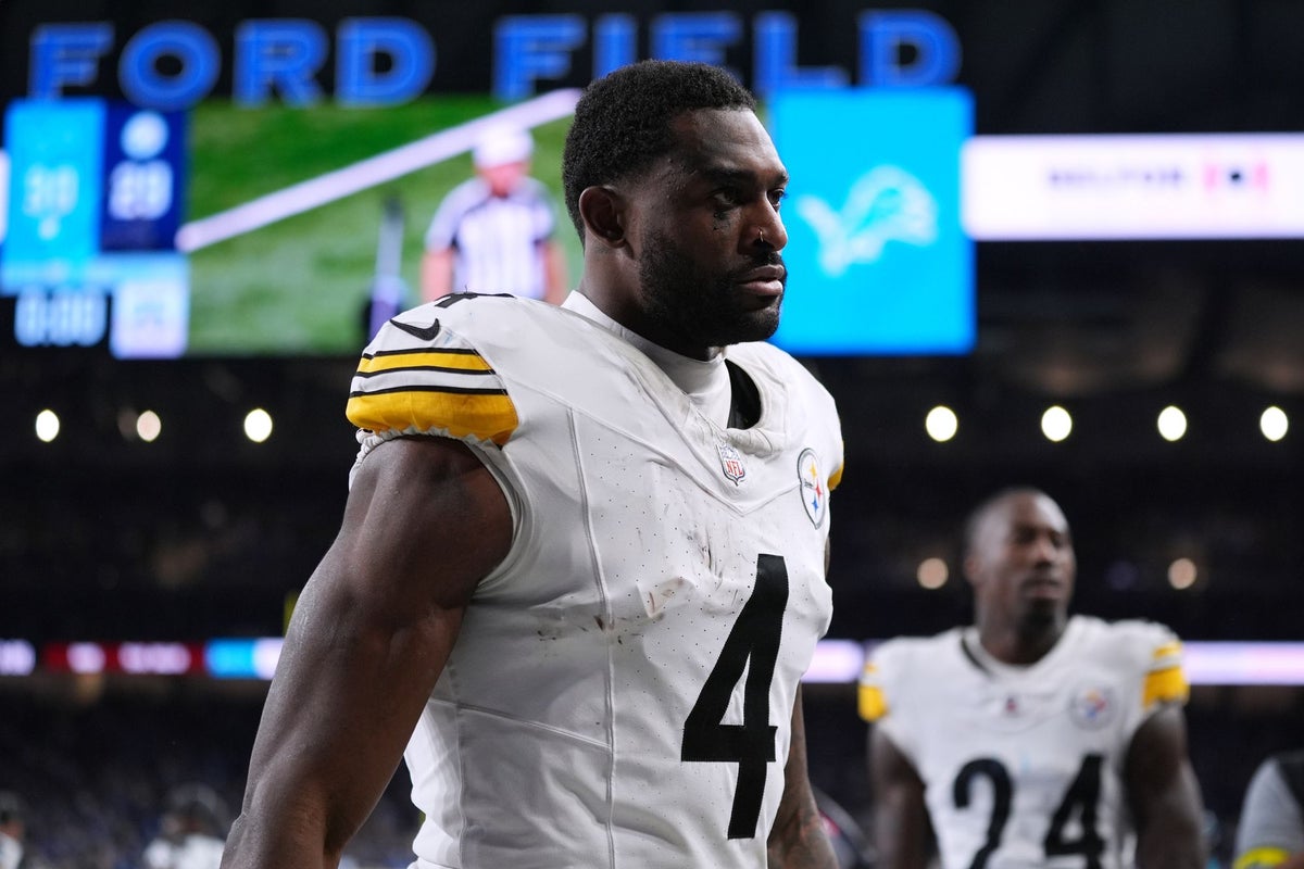 Pittsburgh Steelers star appears to throw punch at fan during game Pittsburgh Steelers star appears to throw punch at fan during game