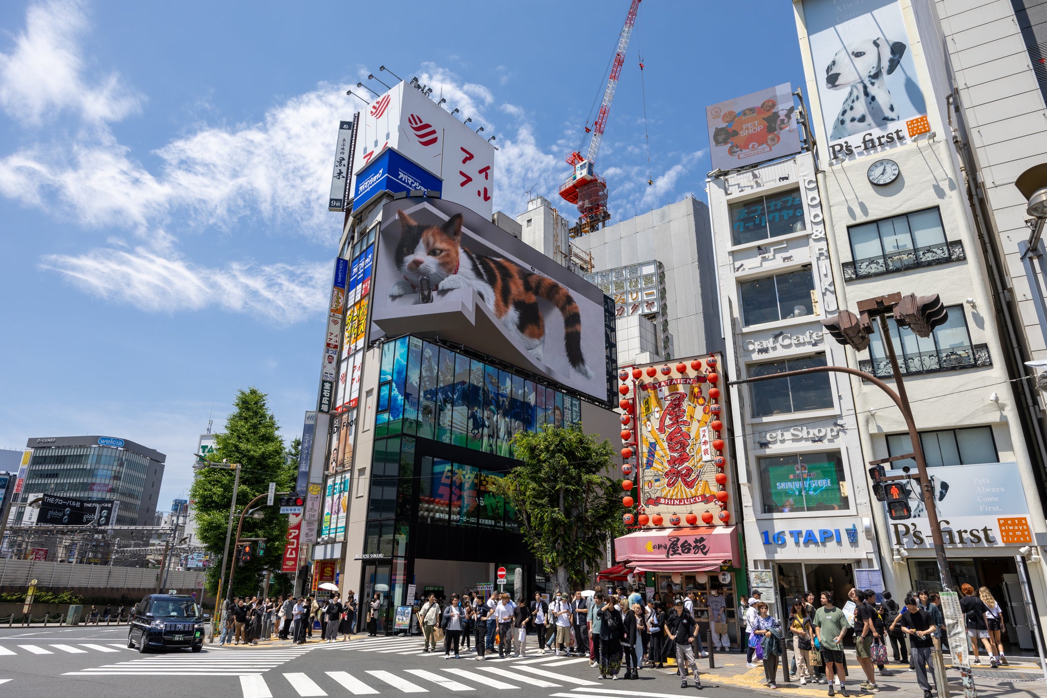 A giant digital 3D cat keeps watch of the streets of Shinjuku in Tokyo