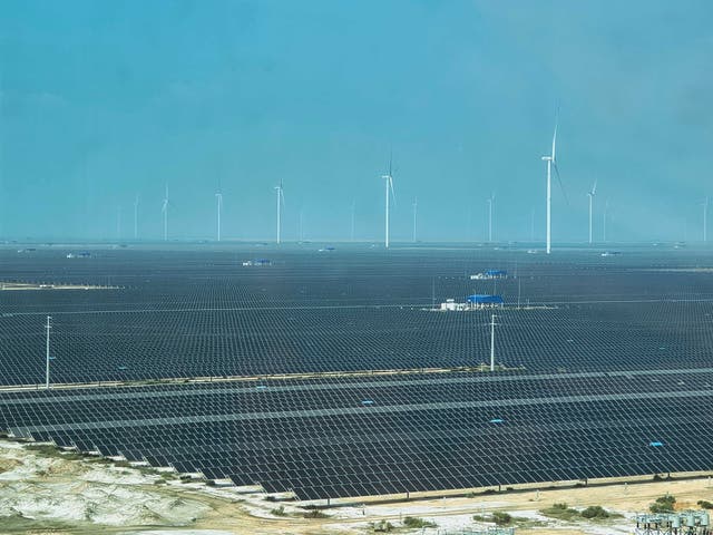 <p>A view of solar panels and wind turbines from a tower at Khavda renewable energy park</p>
