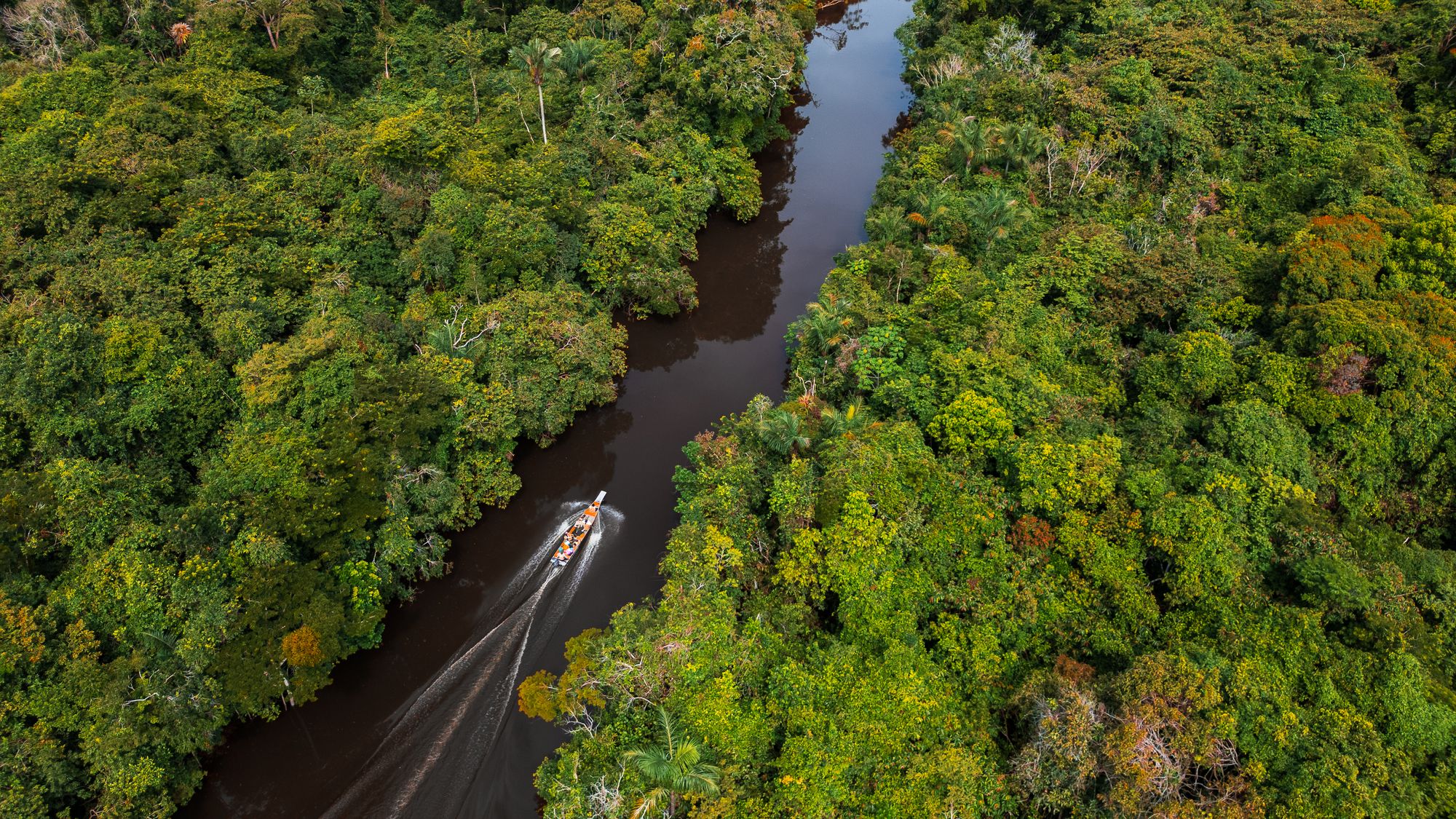 Explore the rainforest of the Peruvian Amazon on an expedition river cruise