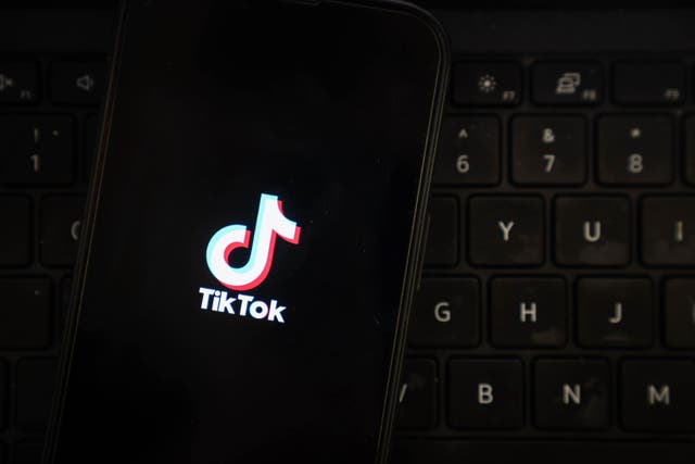The videos were found on TikTok (James Manning/PA)
