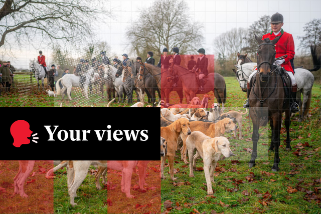 <p>Crowds will be out on Friday to watch the Boxing Day meets</p>