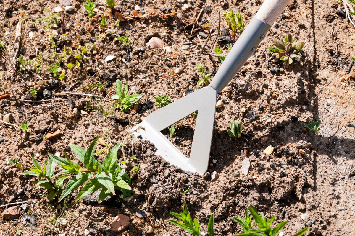 Your essential gardening job guide for each month of the New Year 