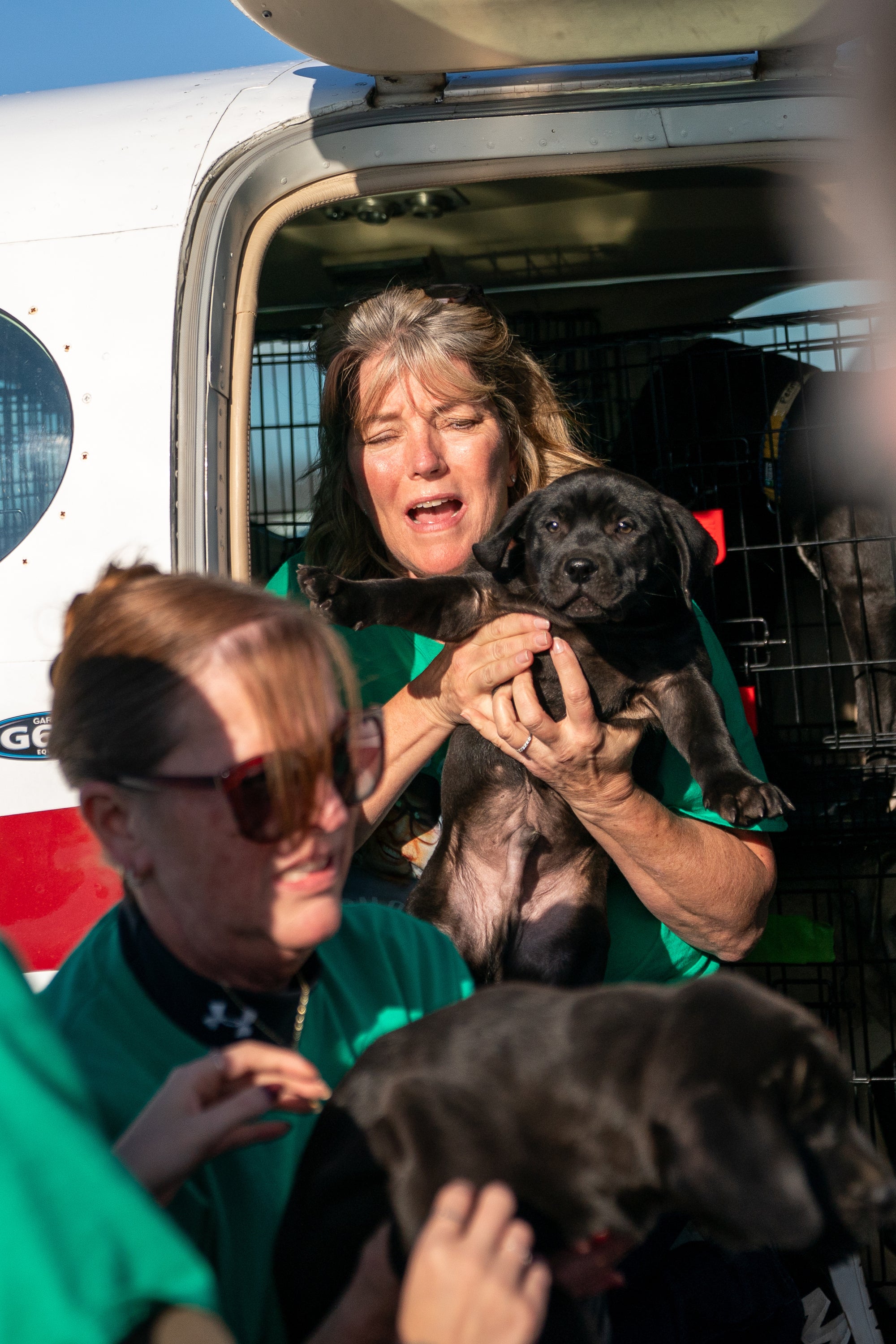 Pet Rescue Flights