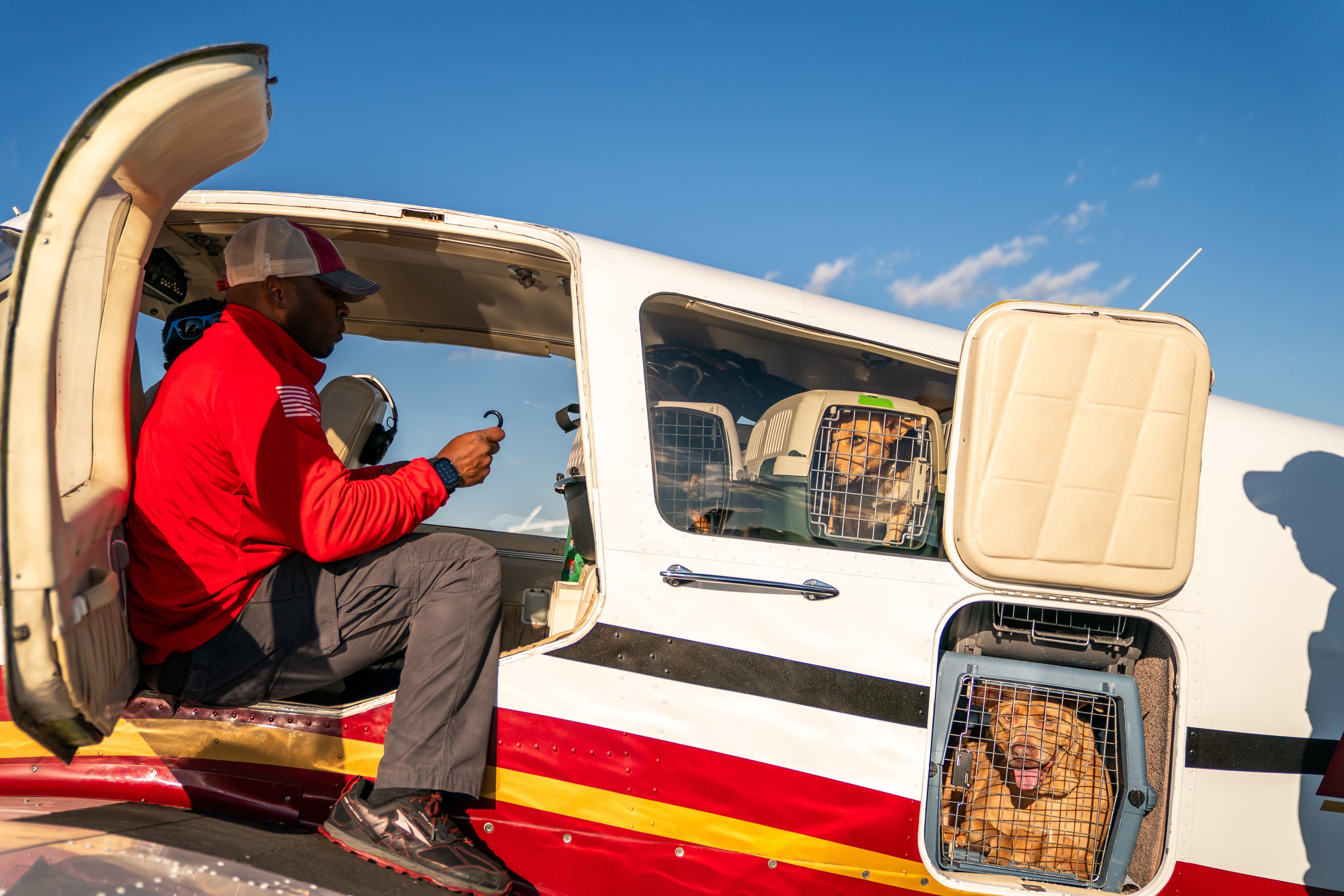 Pet Rescue Flights